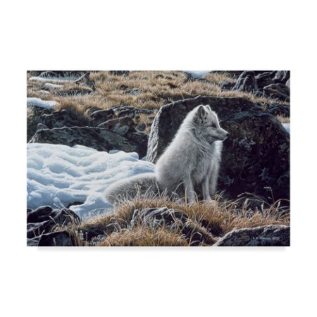 Ron Parker 'Northern Morning' Canvas Art,16x24